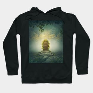 the mysterious door in the woods Hoodie